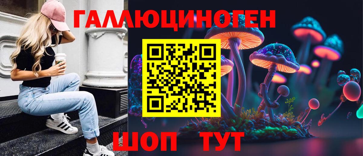Псилоцибиновые грибы ЛСД Новоалтайск